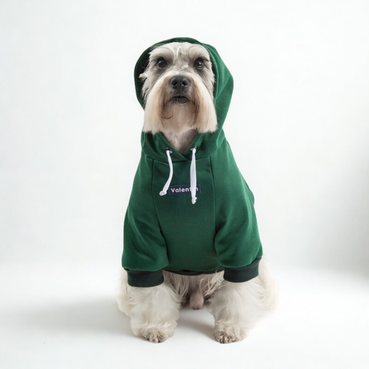 Hoodie Verde Oscuro