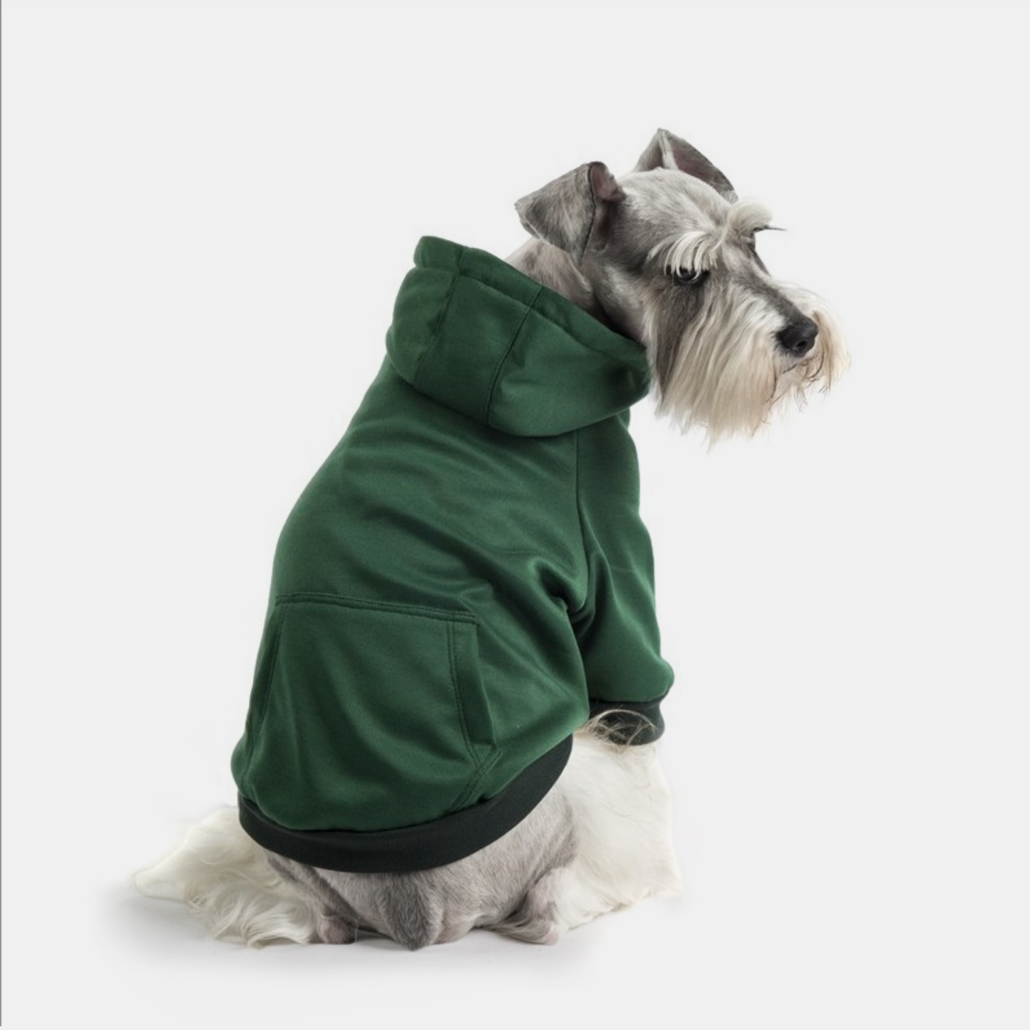 Hoodie Verde Oscuro
