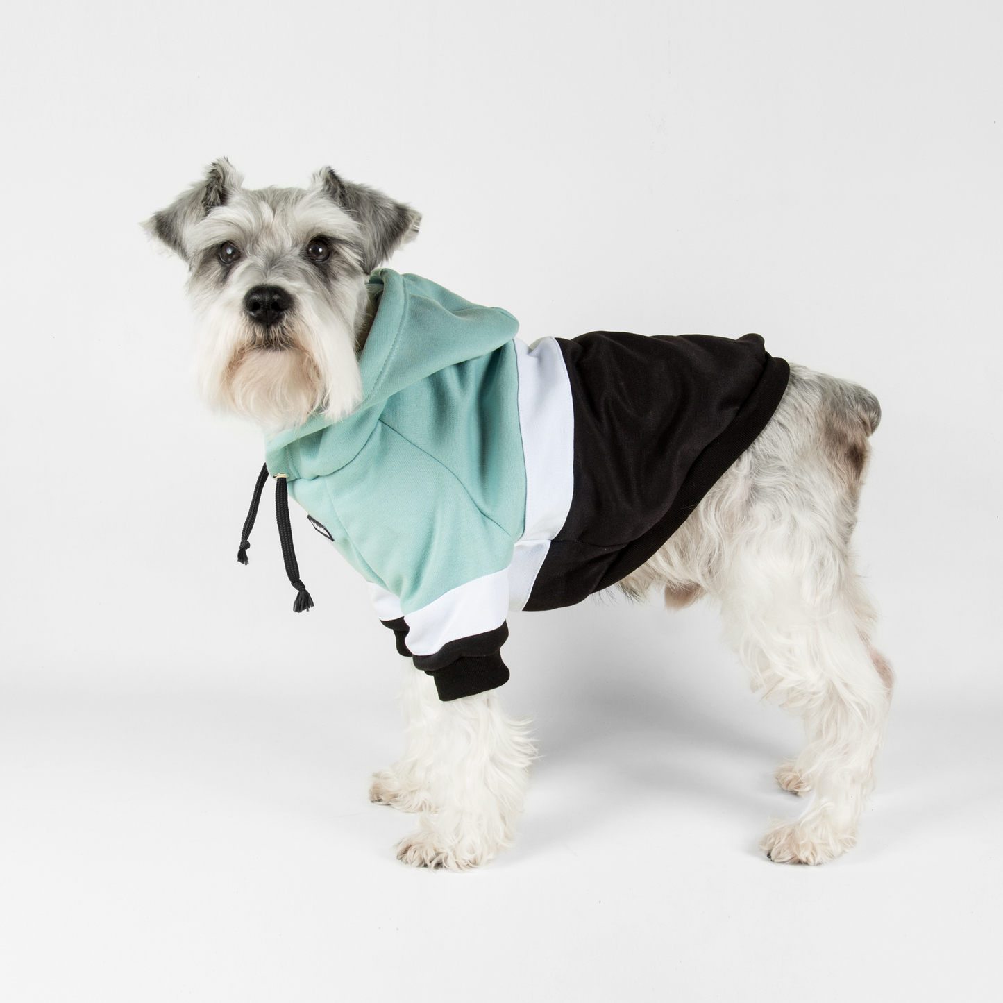 Hoodie ColorMix Menta