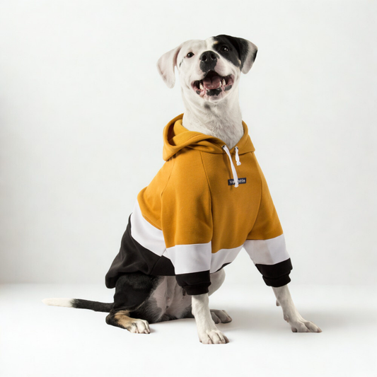 Hoodie ColorMix Mostaza