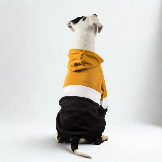 Hoodie ColorMix Mostaza