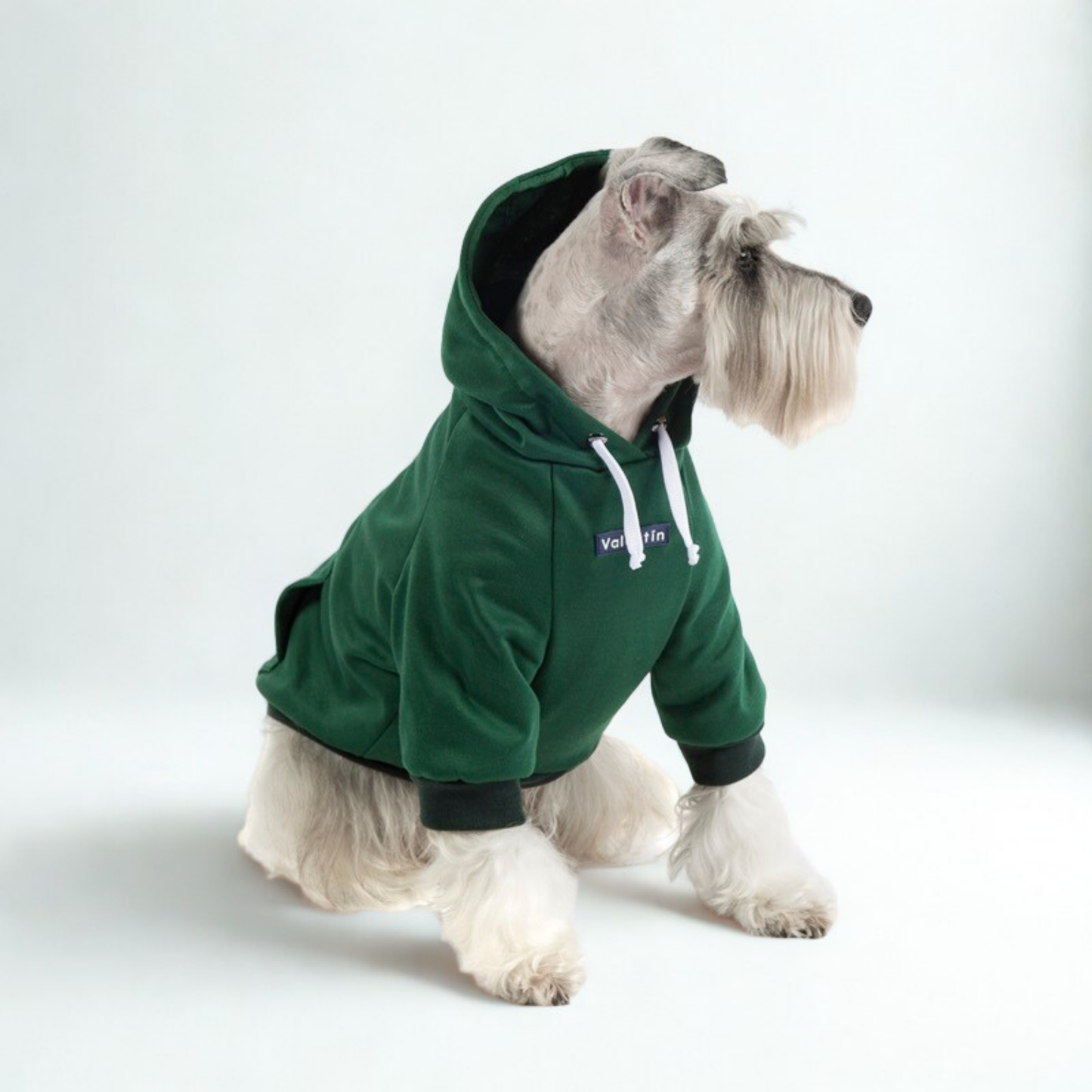 Hoodie Verde Oscuro