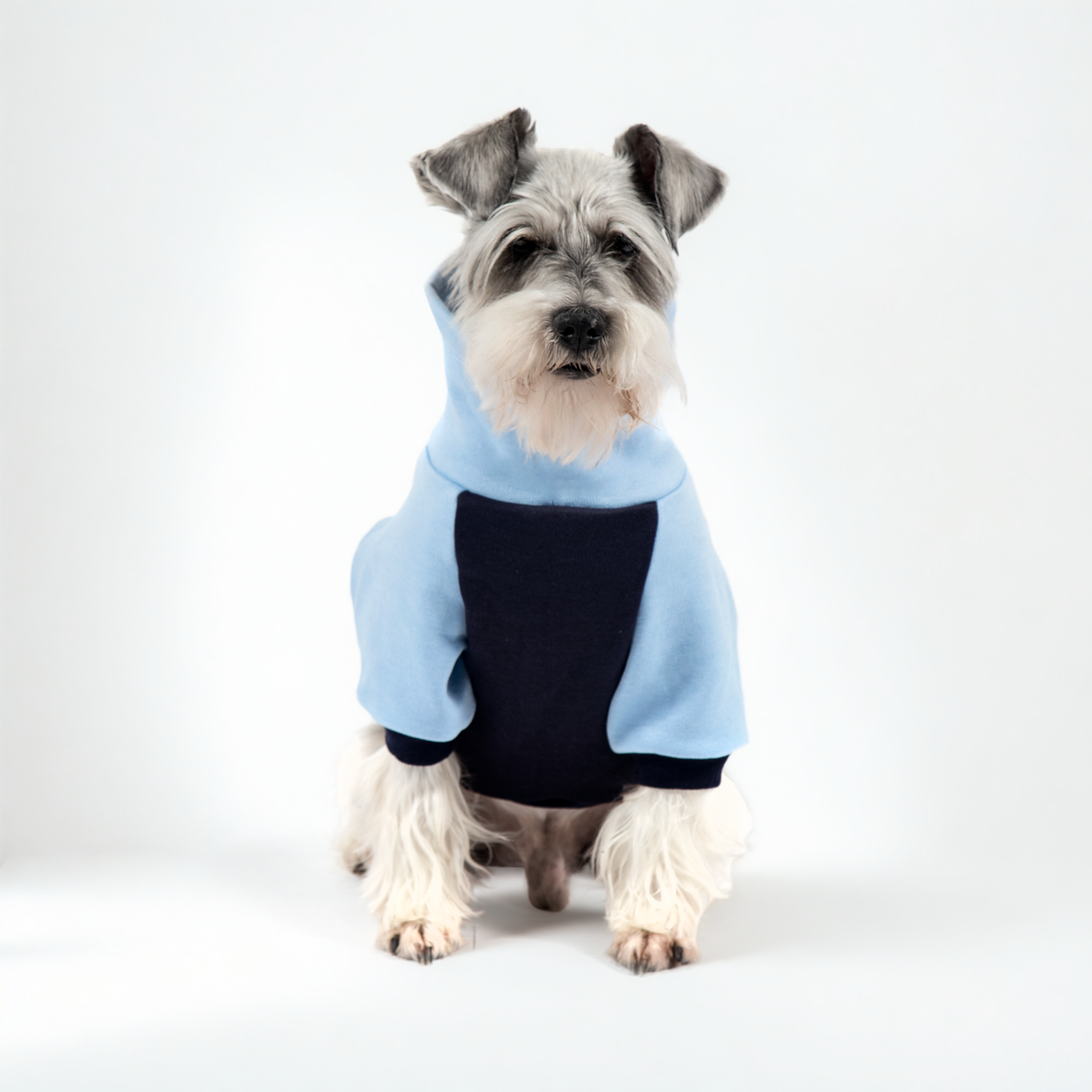 Suéter cuello tortuga DuoLove - Azul