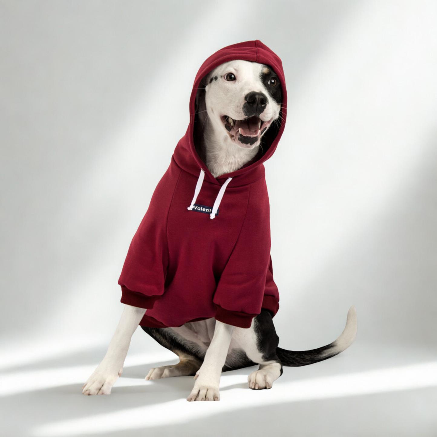 Hoodie Vinotinto