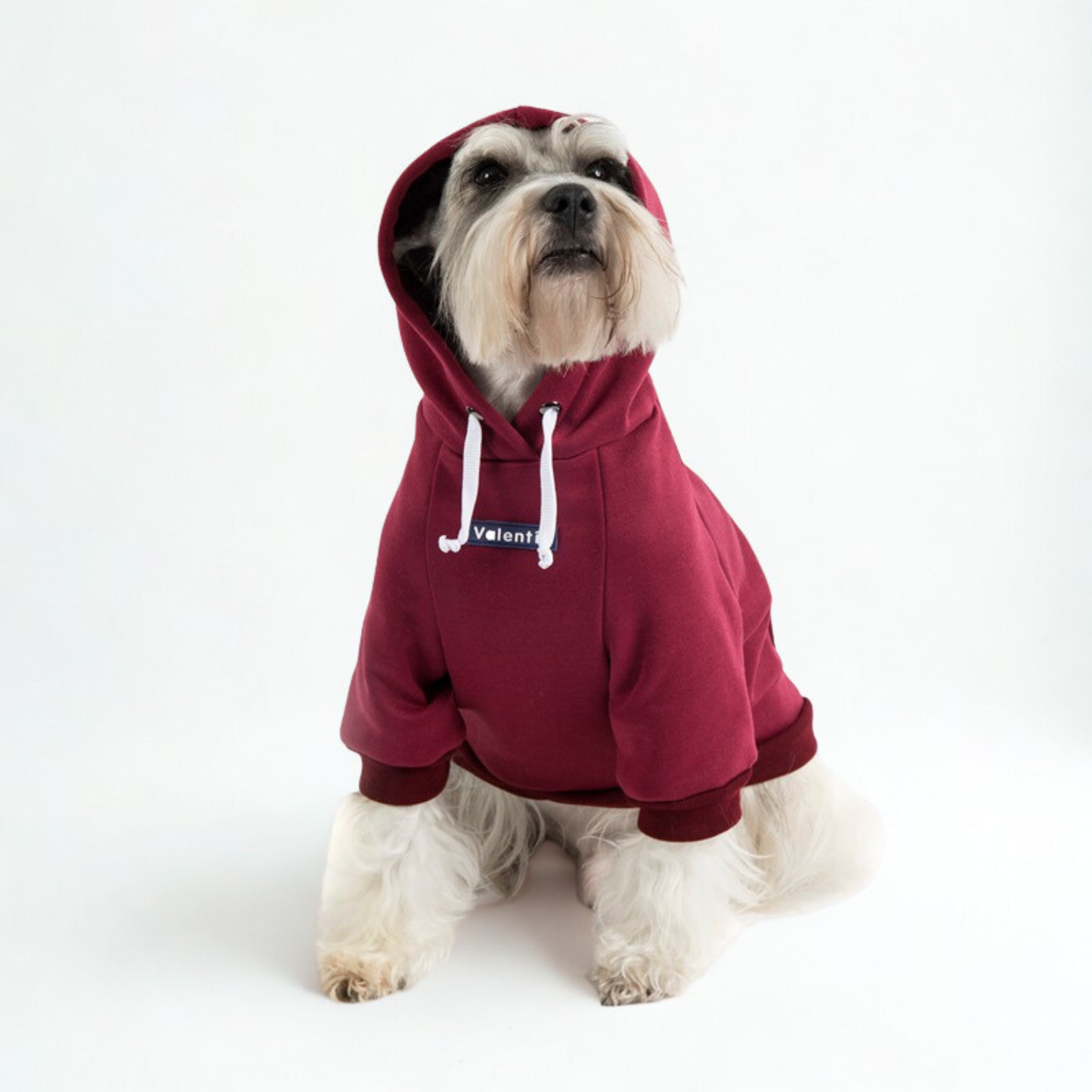 Hoodie Vinotinto