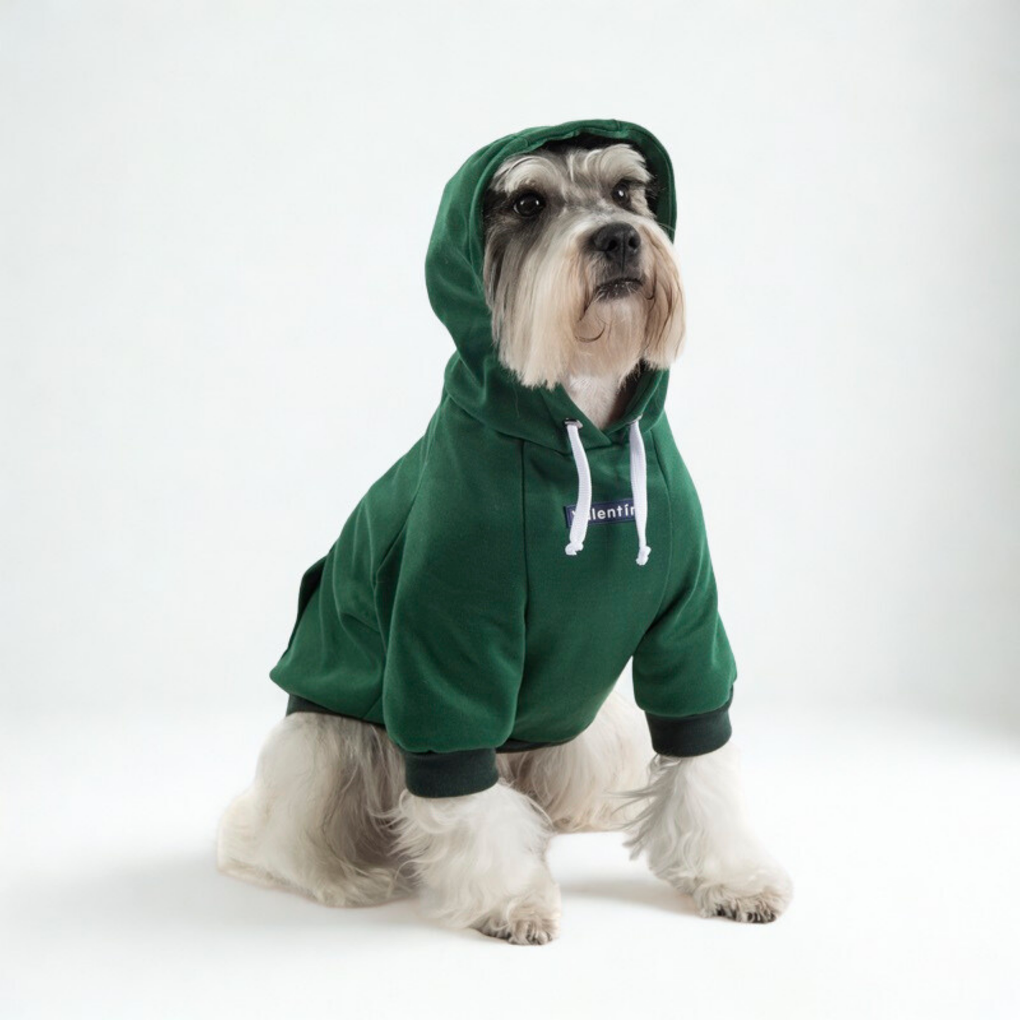 Hoodie Verde Oscuro
