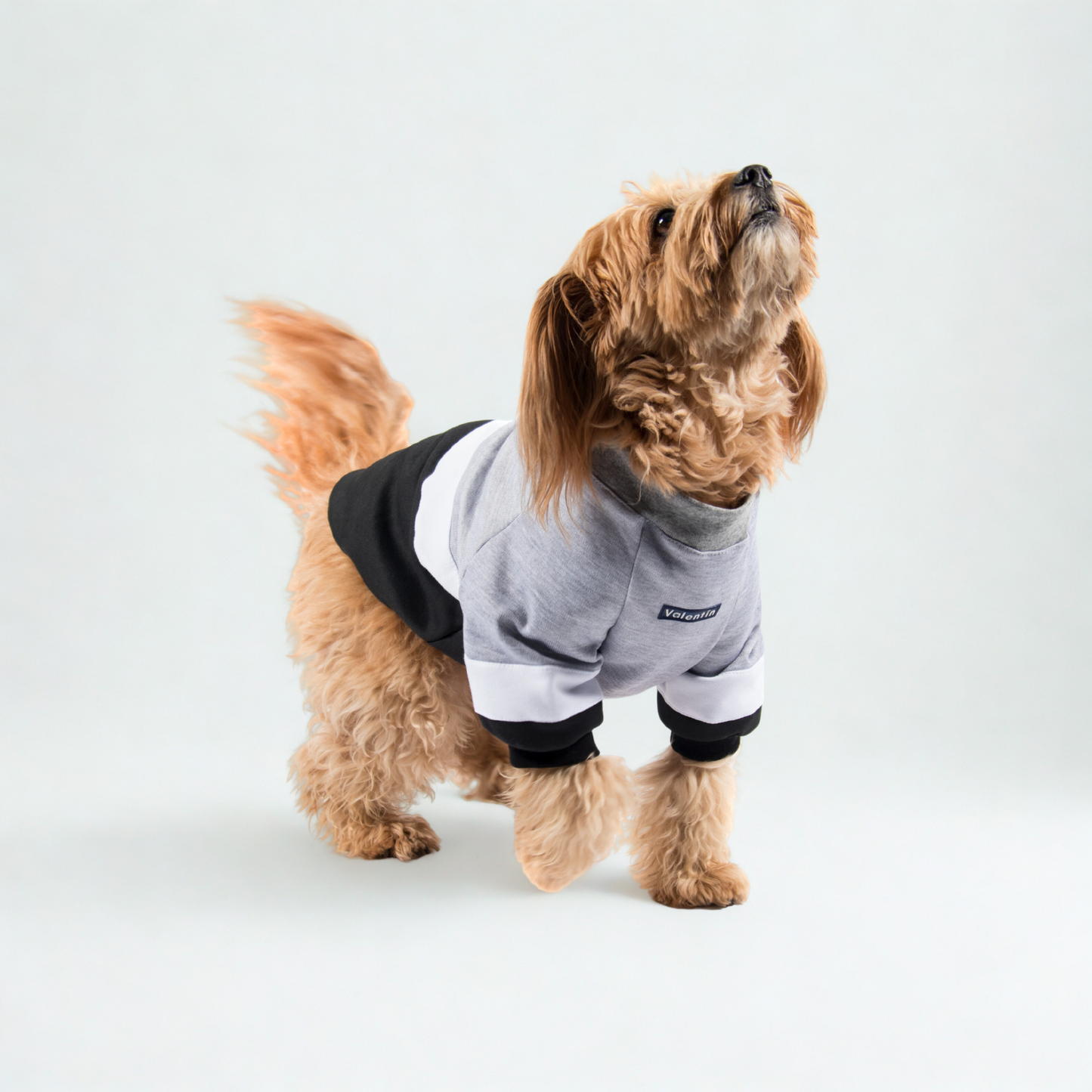 Suéter Armonía Gris