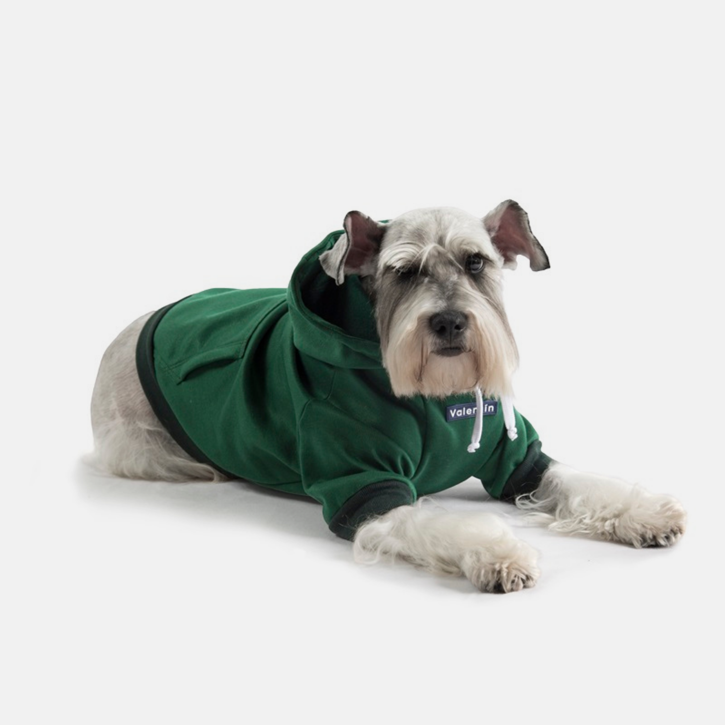Hoodie Verde Oscuro