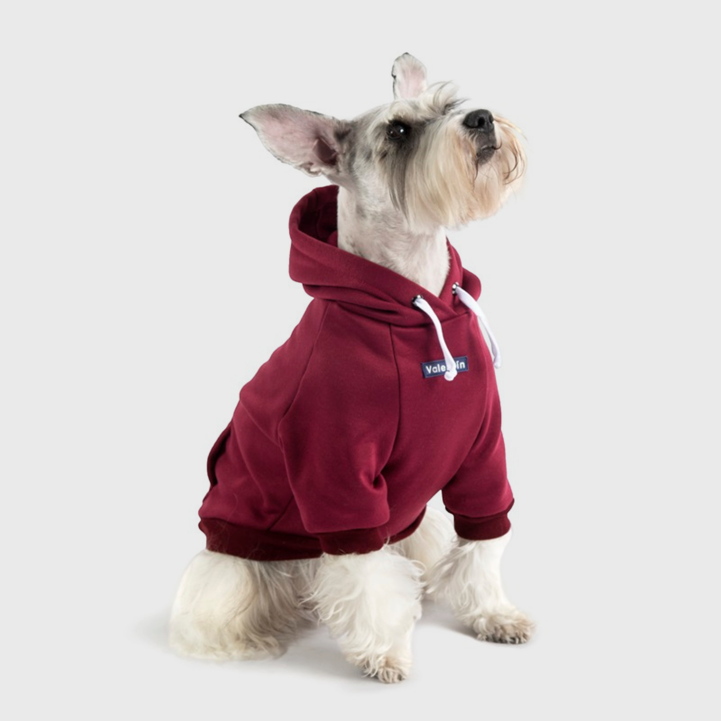 Hoodie Vinotinto
