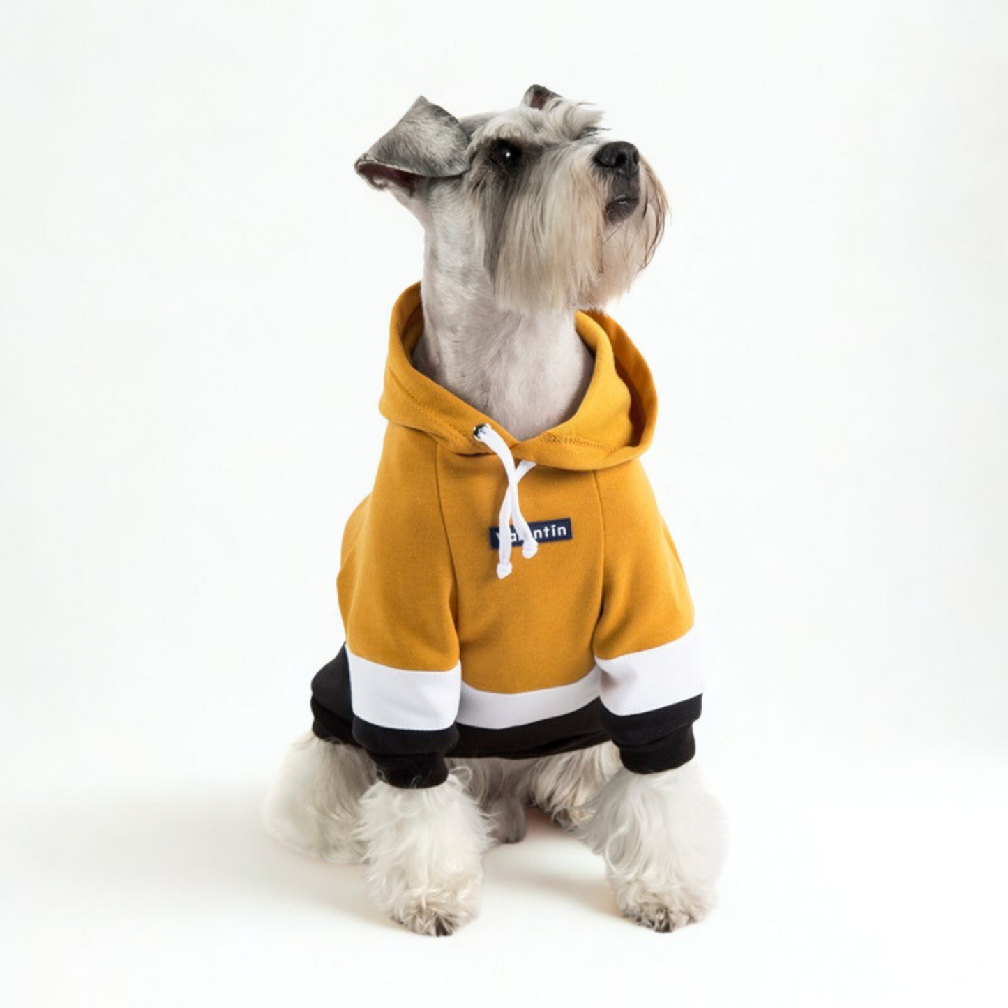 Hoodie ColorMix Mostaza