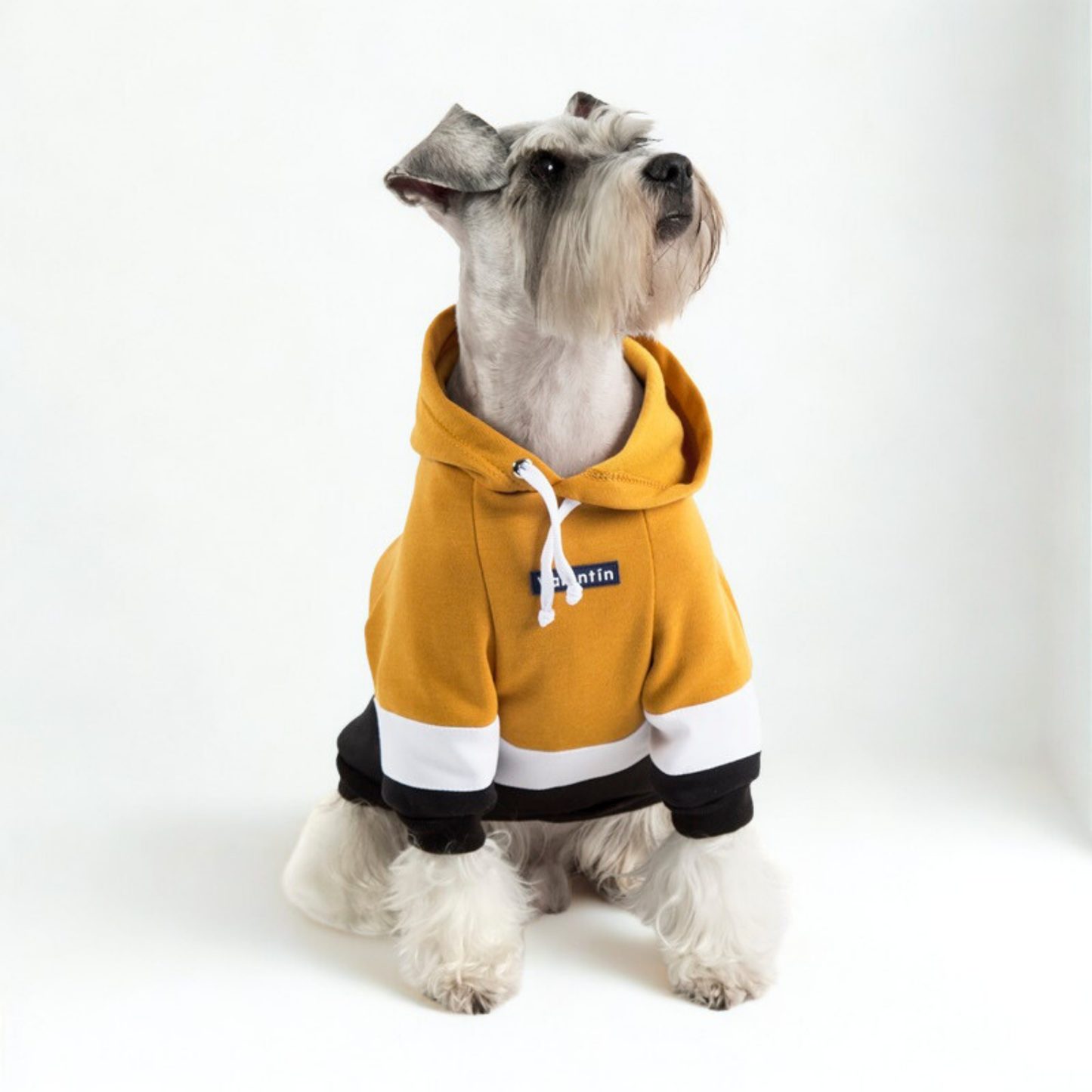 Hoodie ColorMix Mostaza