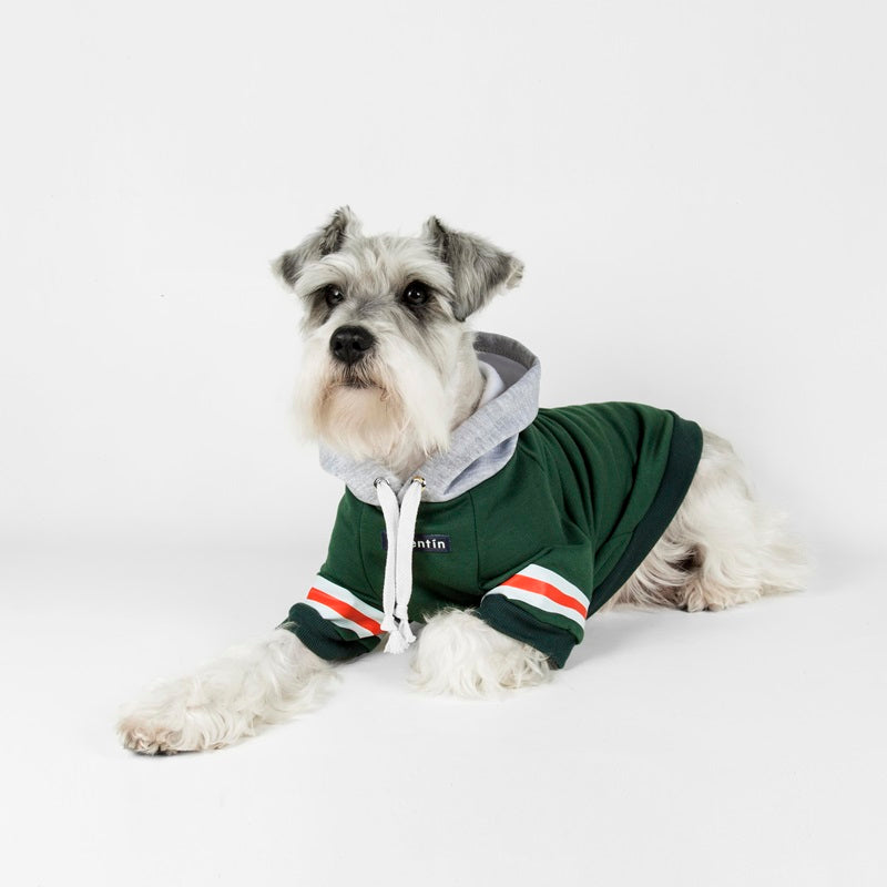 Hoodie Urban Verde