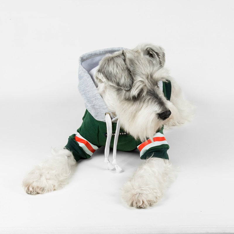 Hoodie Urban Verde