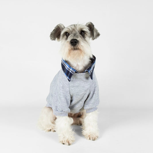 Suéter Gris Casual Mood