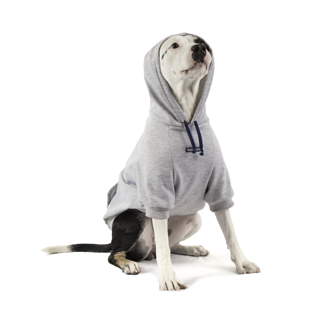 Hoodie Gris