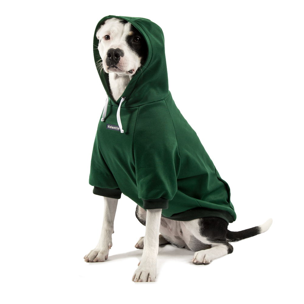 Hoodie Verde Oscuro