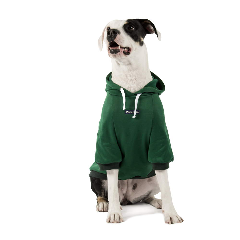 Hoodie Verde Oscuro