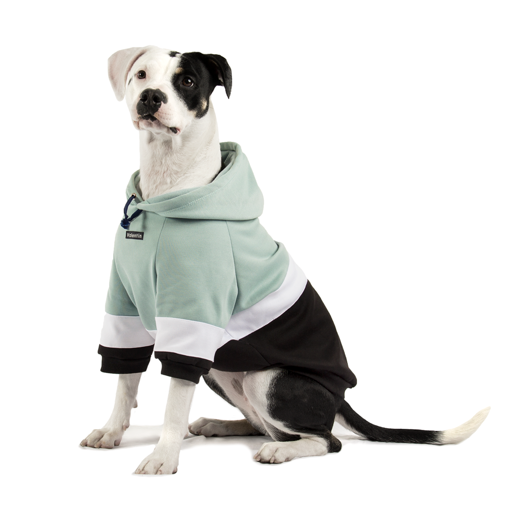 Hoodie ColorMix Menta