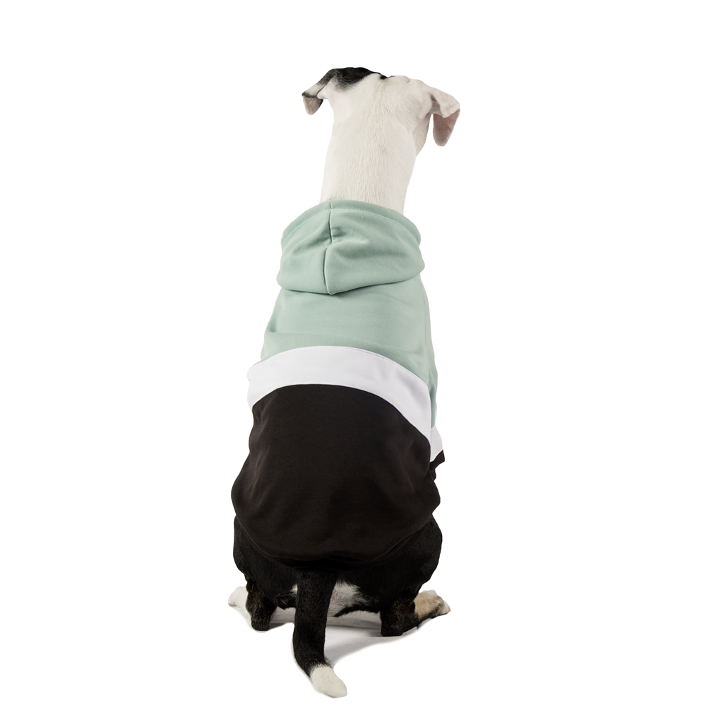 Hoodie ColorMix Menta