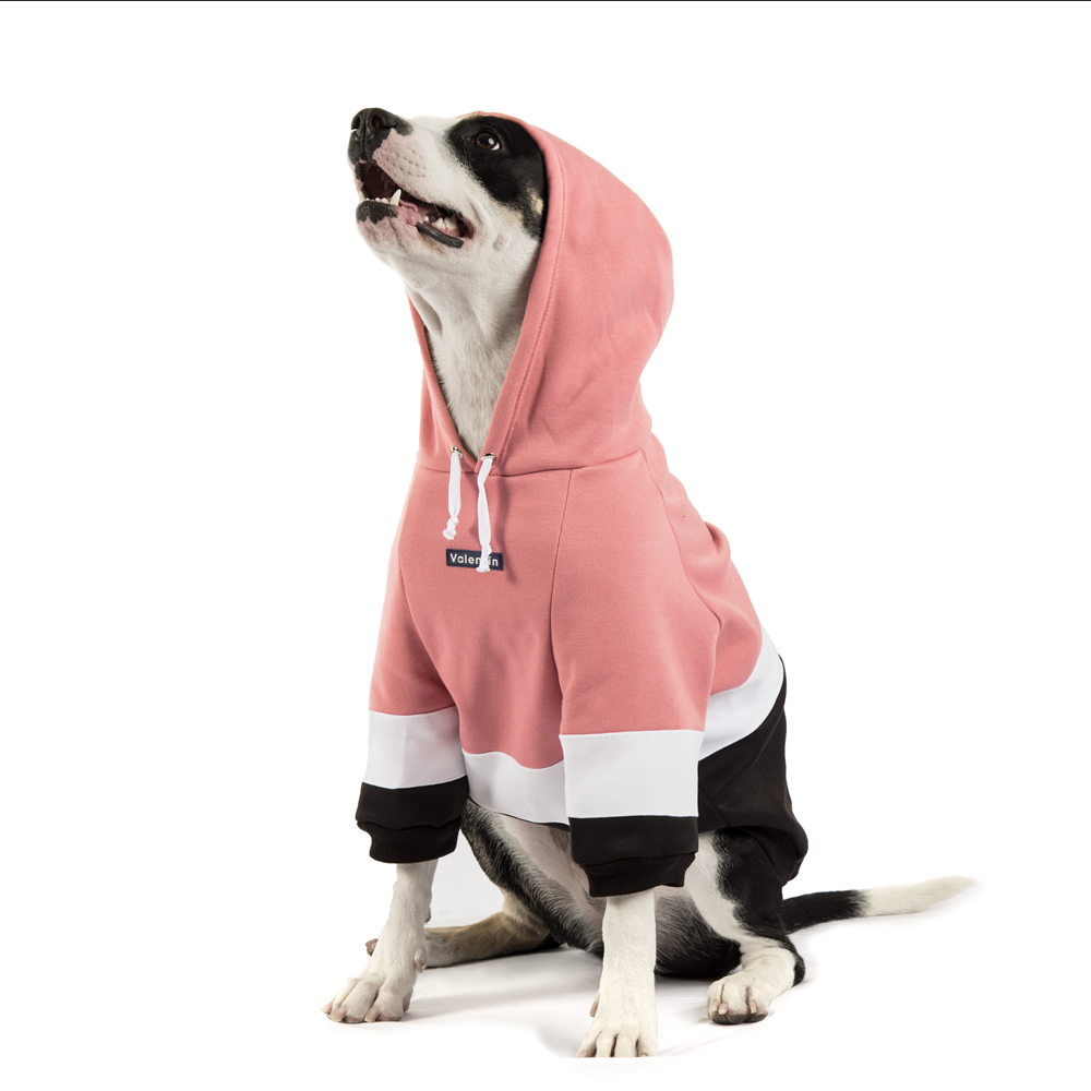 Hoodie ColorMix Rosa