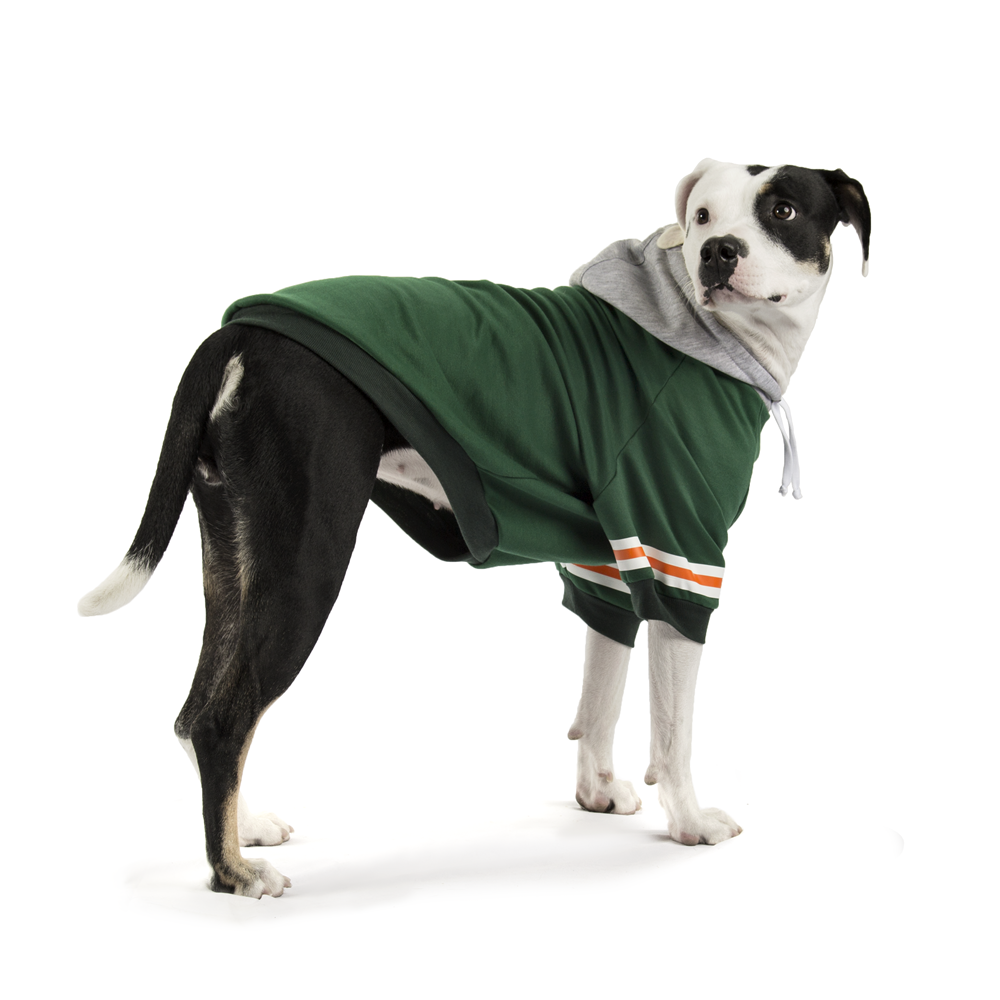 Hoodie Urban Verde