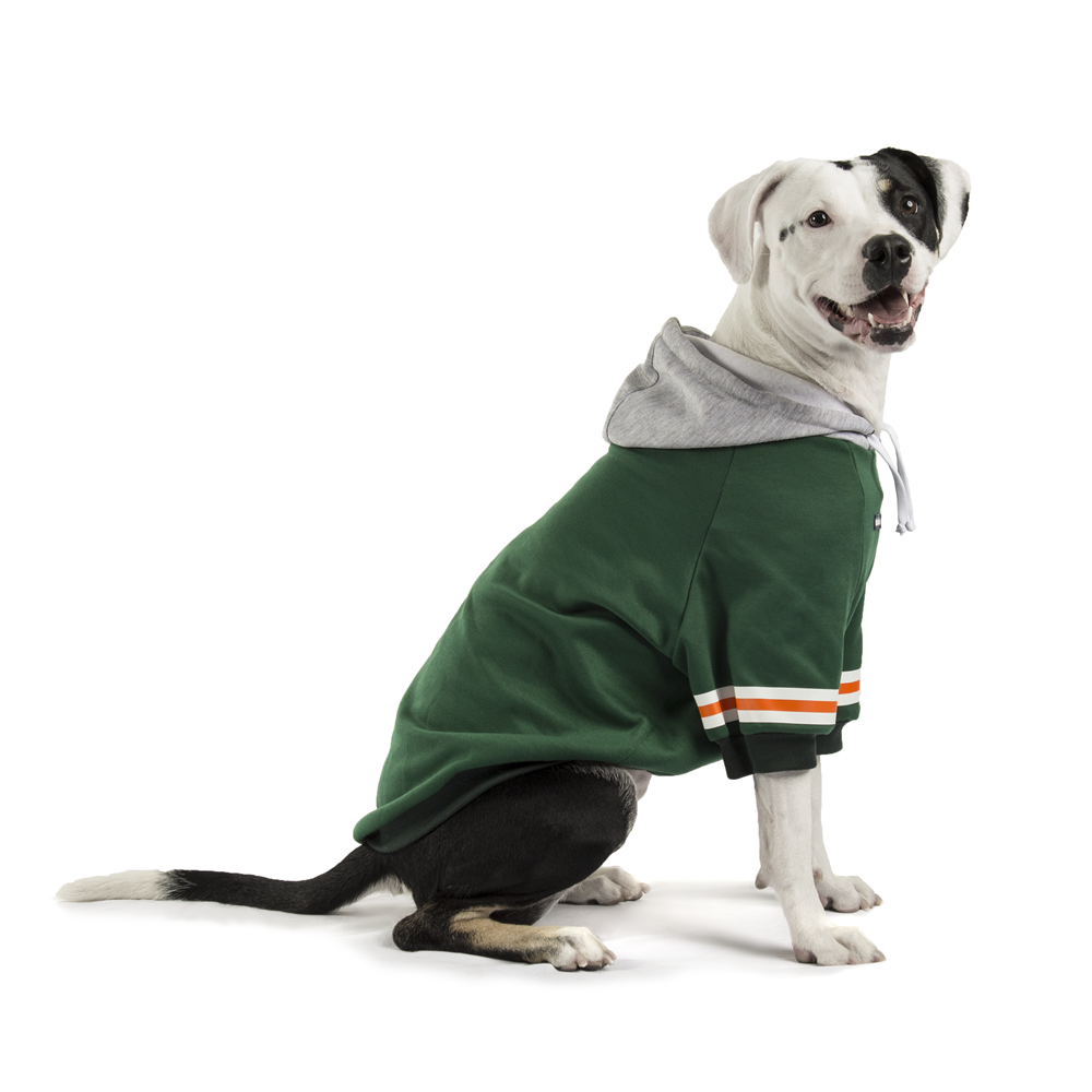 Hoodie Urban Verde