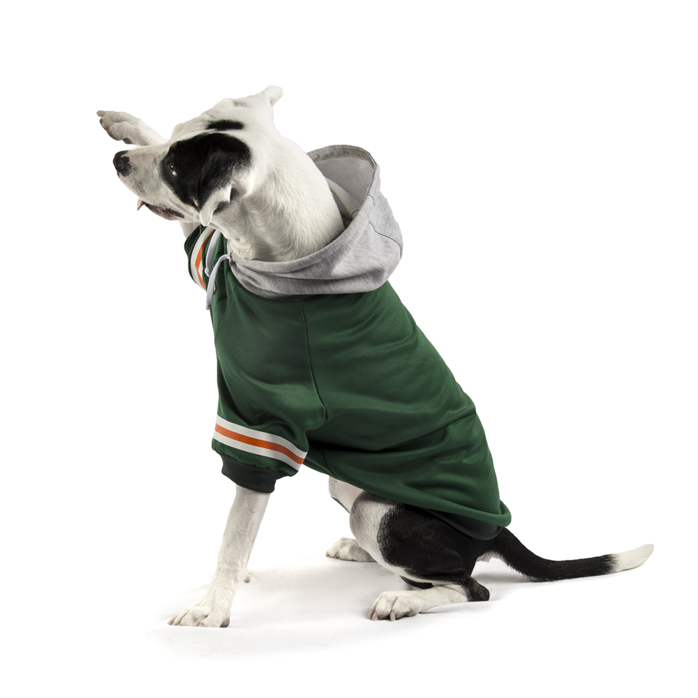Hoodie Urban Verde