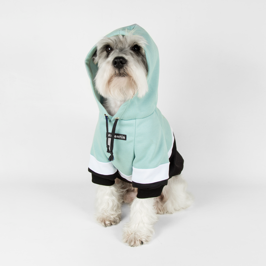 Hoodie ColorMix Menta