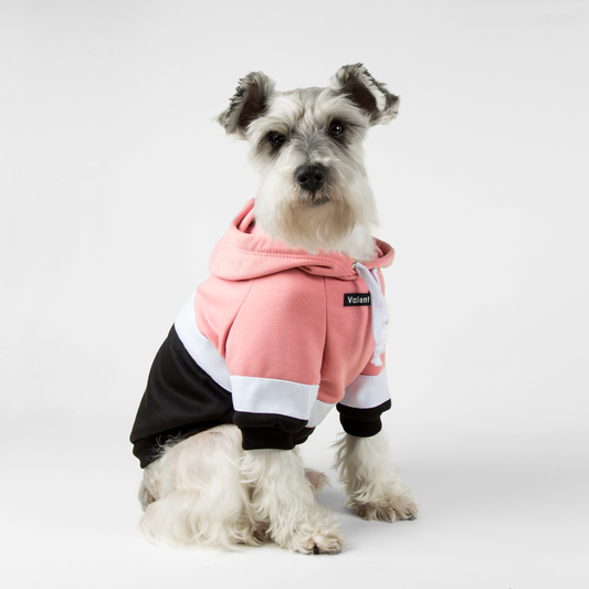 Hoodie ColorMix Rosa