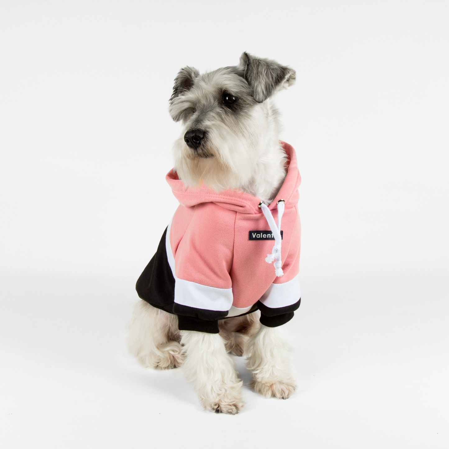 Hoodie ColorMix Rosa