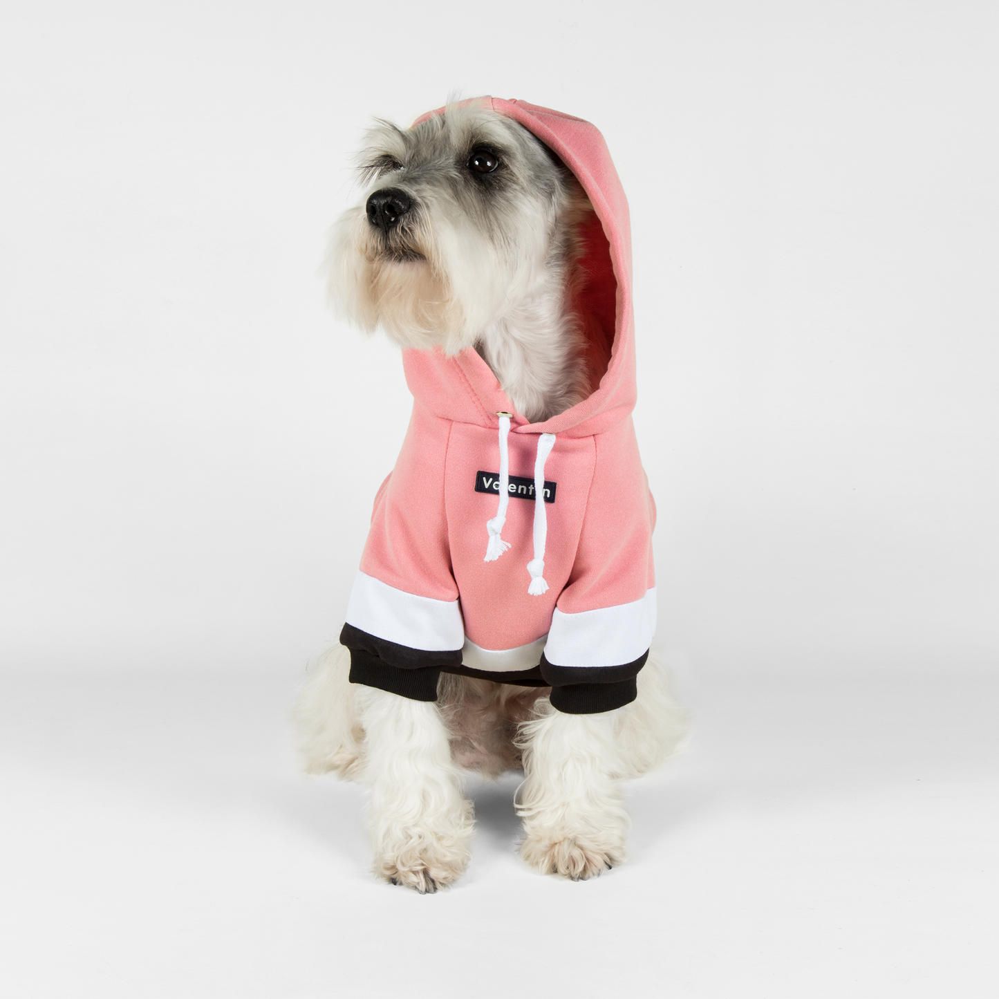 Hoodie ColorMix Rosa