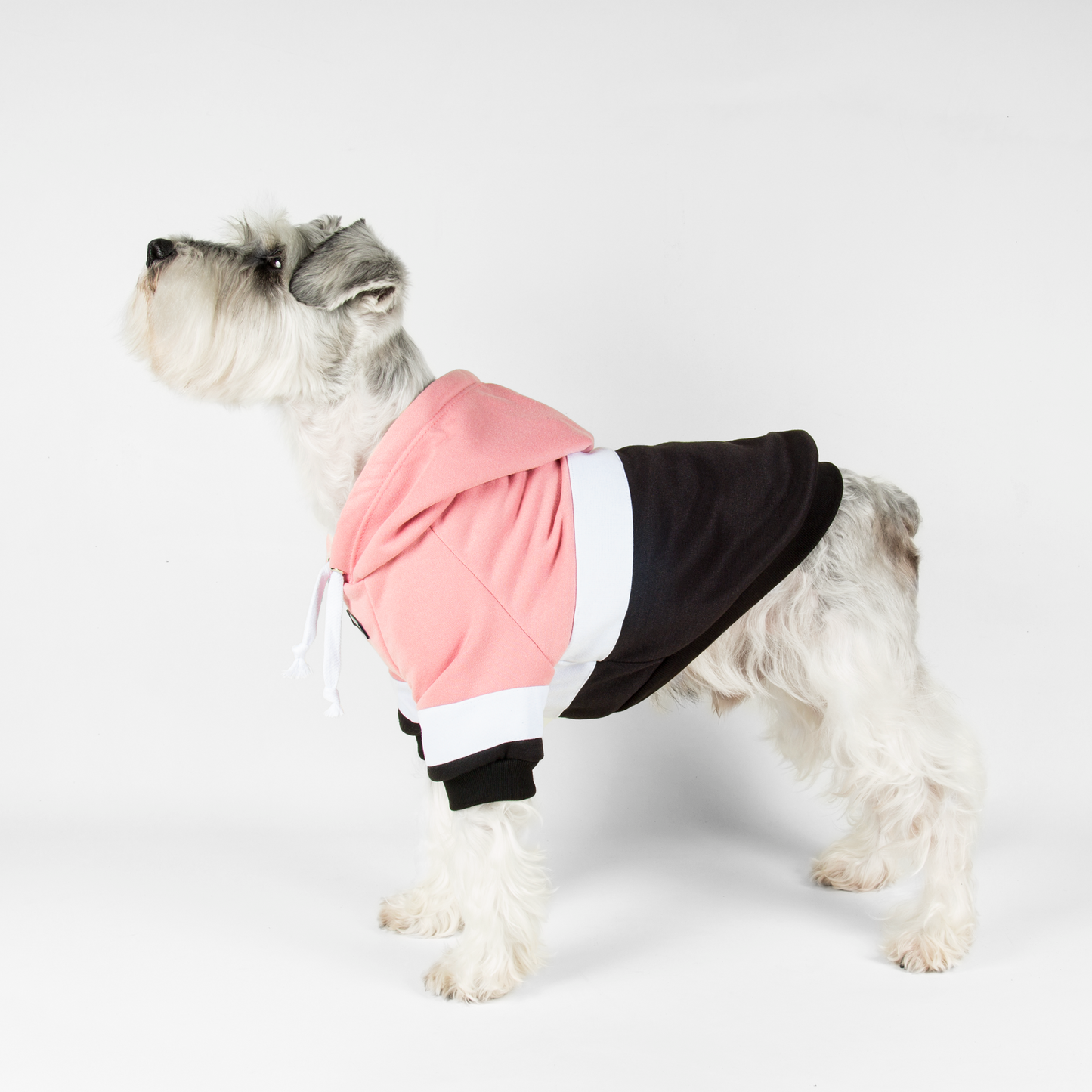 Hoodie ColorMix Rosa